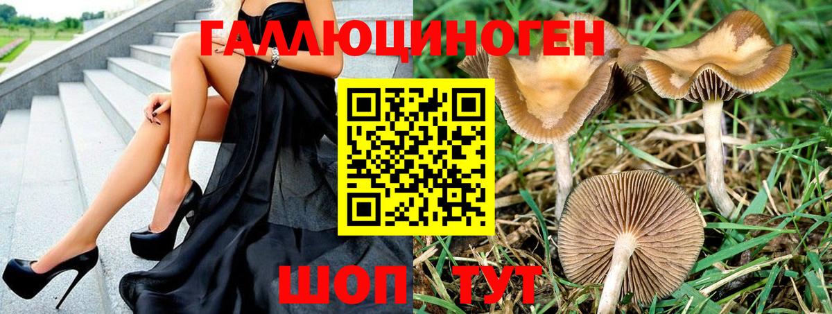 Псилоцибиновые грибы GOLDEN TEACHER Нижнекамск